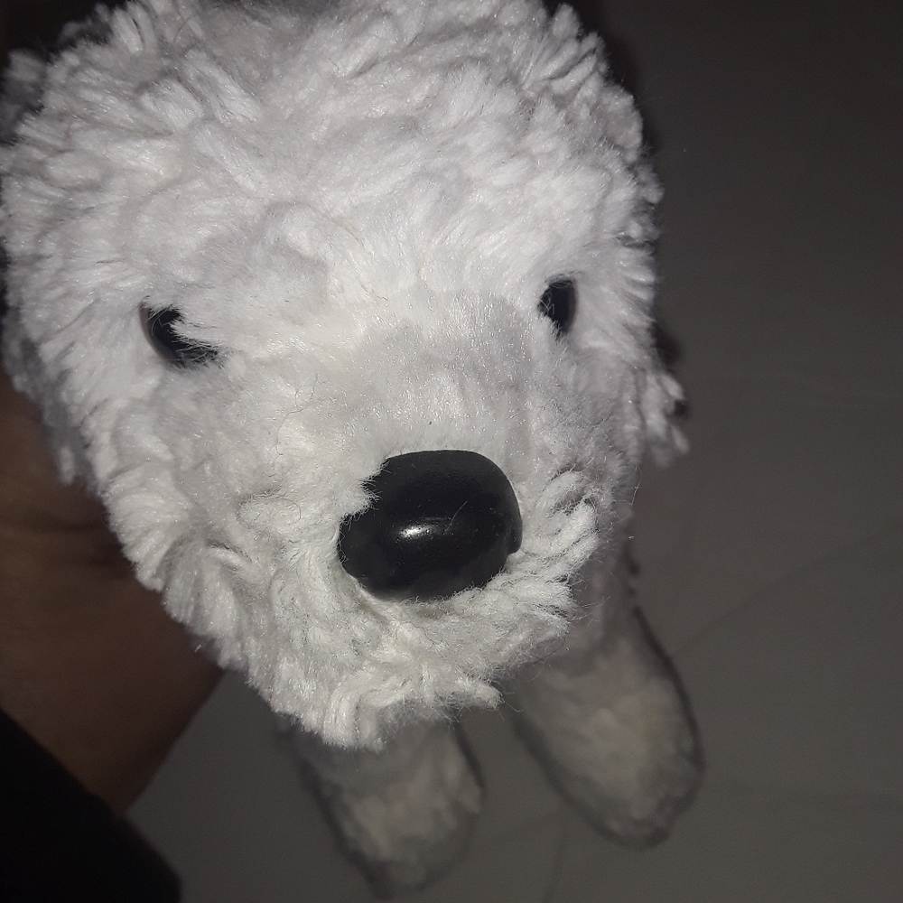 Douglas Small White Sheep Dog Realistic dog - Picture 1 of 4